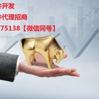 開(kāi)發(fā)股票軟件怎么選擇專業(yè)的軟件開(kāi)發(fā)商