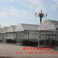 蔬菜單體薄膜大棚 農(nóng)業(yè)草莓大棚養(yǎng)殖溫室 薄膜大棚廠家定制
