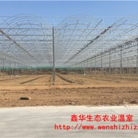 蔬菜溫室大棚骨架 供應(yīng)農(nóng)用連棟大棚骨架 牢固抗風(fēng)耐腐蝕